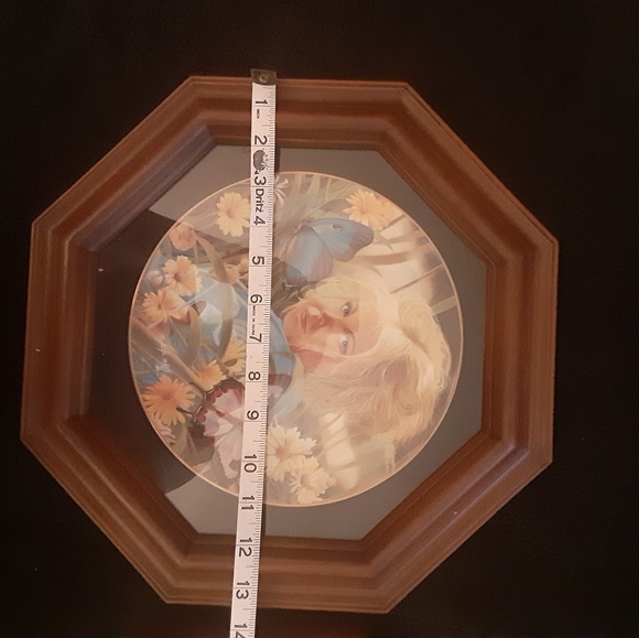 Decorative Collector Plates - Picture 3 of 6